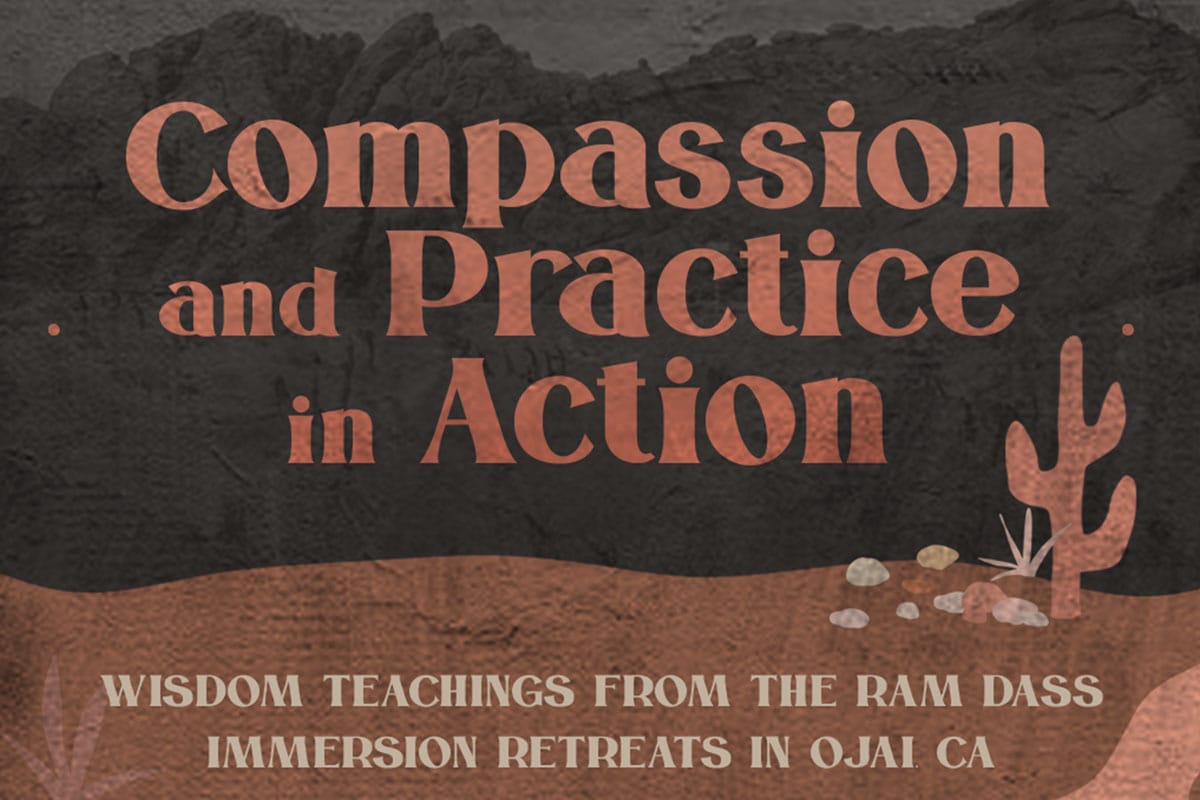 Best Of Compilation: Compassion & Practice In Action Virtual Retreat ...