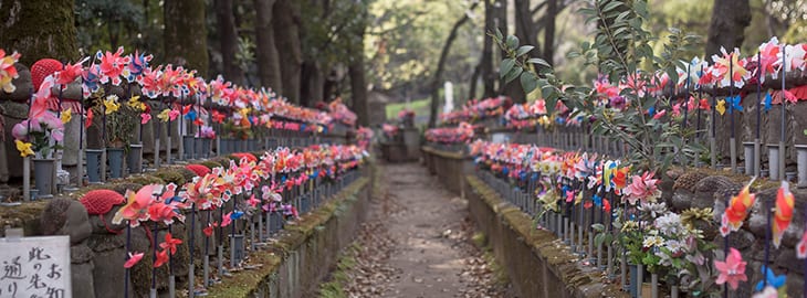 pathway