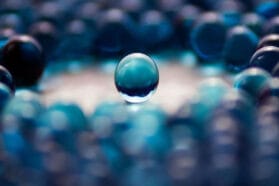 individual differences