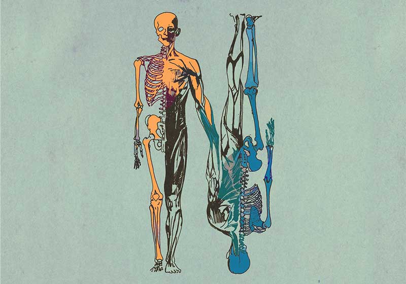 Ram-Dass-Category-Spotlight-Rectangle-Death-Dying-800x560 Ram-Dass-Category-Spotlight-Rectangle-Death-Dying-800x560