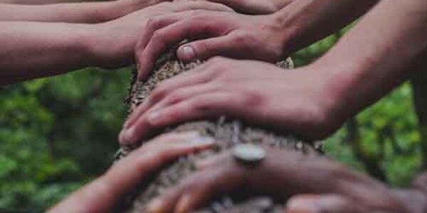 gita-course-2 Gita Course 2